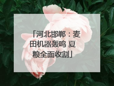 河北邯郸：麦田机器轰鸣 夏粮全面收割