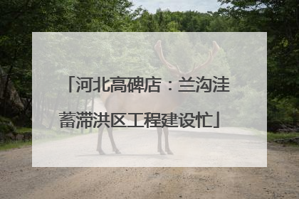 河北高碑店：兰沟洼蓄滞洪区工程建设忙