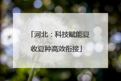 河北：科技赋能夏收夏种高效衔接