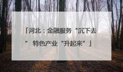 河北：金融服务“沉下去” 特色产业“升起来”