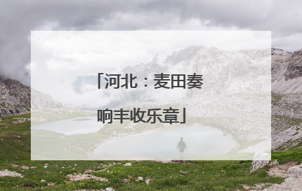 河北：麦田奏响丰收乐章
