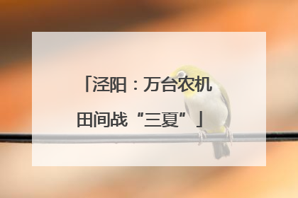 泾阳：万台农机田间战“三夏”