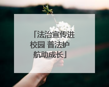 法治宣传进校园 普法护航助成长