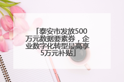 泰安市发放500万元数据要素券，企业数字化转型最高享5万元补贴