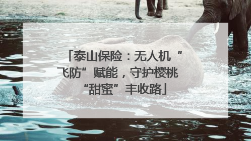 泰山保险：无人机“飞防”赋能，守护樱桃“甜蜜”丰收路