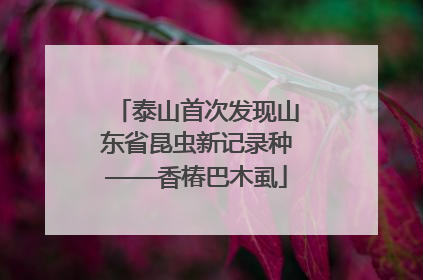 泰山首次发现山东省昆虫新记录种——香椿巴木虱