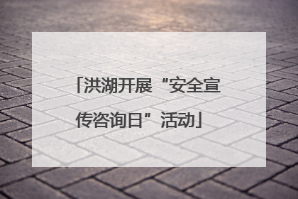 洪湖开展“安全宣传咨询日”活动