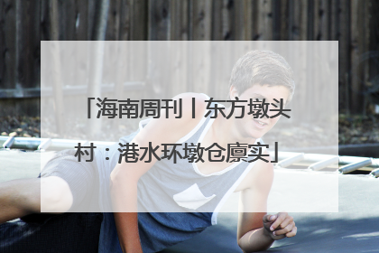 海南周刊丨东方墩头村：港水环墩仓廪实