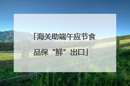 海关助端午应节食品保“鲜”出口