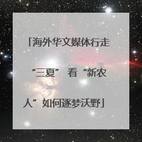 海外华文媒体行走“三夏” 看“新农人”如何逐梦沃野