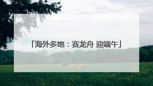 海外多地：赛龙舟 迎端午
