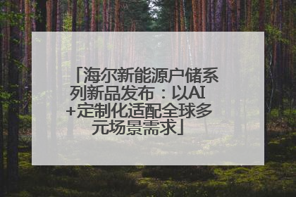 海尔新能源户储系列新品发布：以AI+定制化适配全球多元场景需求