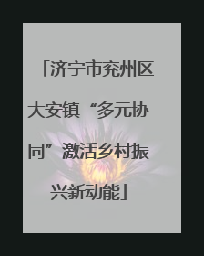 济宁市兖州区大安镇“多元协同”激活乡村振兴新动能