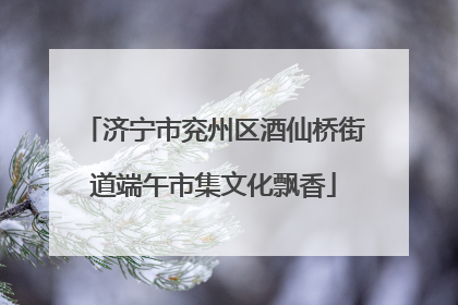 济宁市兖州区酒仙桥街道端午市集文化飘香