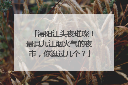 浔阳江头夜璀璨！最具九江烟火气的夜市，你逛过几个？