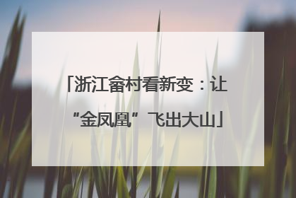 浙江畲村看新变：让“金凤凰”飞出大山