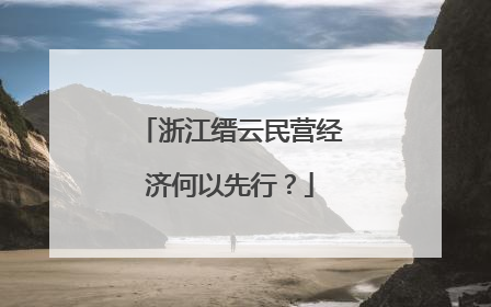 浙江缙云民营经济何以先行？