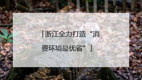 浙江全力打造“消费环境最优省”