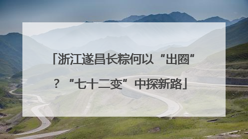 浙江遂昌长粽何以“出圈”？“七十二变”中探新路
