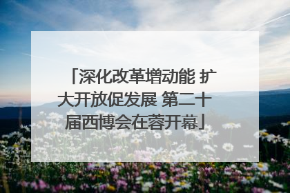 深化改革增动能 扩大开放促发展 第二十届西博会在蓉开幕