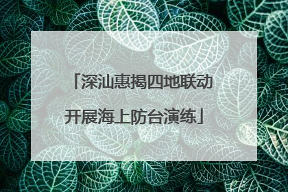 深汕惠揭四地联动开展海上防台演练