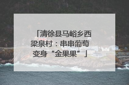 清徐县马峪乡西梁泉村：串串葡萄变身“金果果”