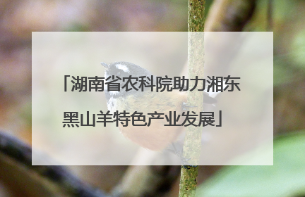 湖南省农科院助力湘东黑山羊特色产业发展