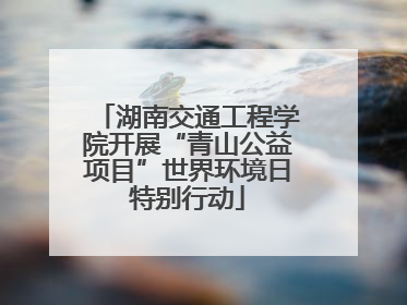 湖南交通工程学院开展“青山公益项目”世界环境日特别行动