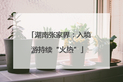 湖南张家界：入境游持续“火热”