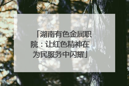 湖南有色金属职院：让红色精神在为民服务中闪耀