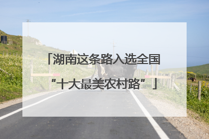 湖南这条路入选全国“十大最美农村路”