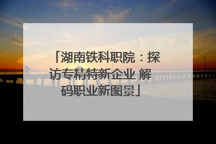 湖南铁科职院：探访专精特新企业 解码职业新图景