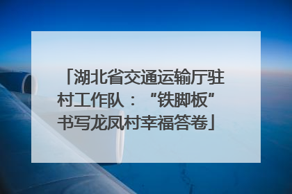 湖北省交通运输厅驻村工作队：“铁脚板”书写龙凤村幸福答卷