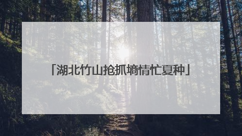 湖北竹山抢抓墒情忙夏种