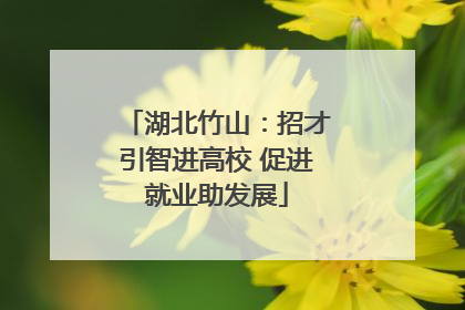 湖北竹山：招才引智进高校 促进就业助发展