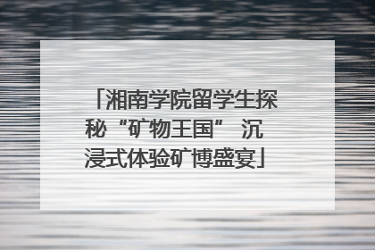 湘南学院留学生探秘“矿物王国” 沉浸式体验矿博盛宴