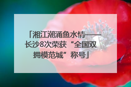 湘江潮涌鱼水情——长沙8次荣获“全国双拥模范城”称号