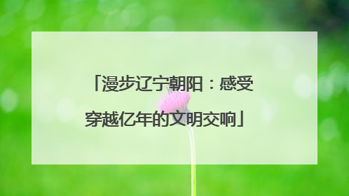 漫步辽宁朝阳：感受穿越亿年的文明交响
