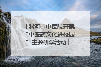 漯河市中医院开展“中医药文化进校园”主题研学活动