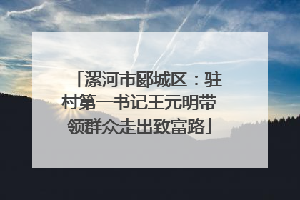 漯河市郾城区：驻村第一书记王元明带领群众走出致富路