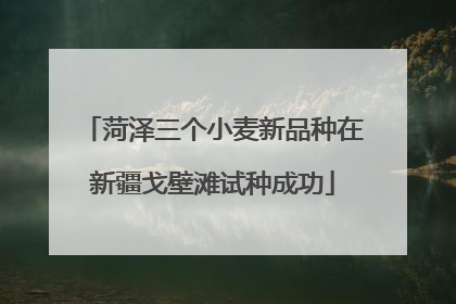 菏泽三个小麦新品种在新疆戈壁滩试种成功