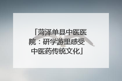 菏泽单县中医医院：研学游里感受中医药传统文化
