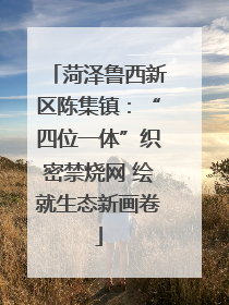 菏泽鲁西新区陈集镇：“四位一体”织密禁烧网 绘就生态新画卷