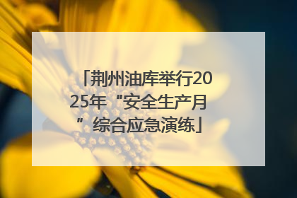 荆州油库举行2025年“安全生产月”综合应急演练