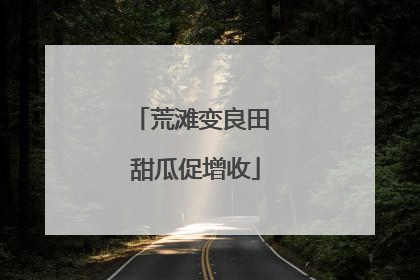 荒滩变良田 甜瓜促增收