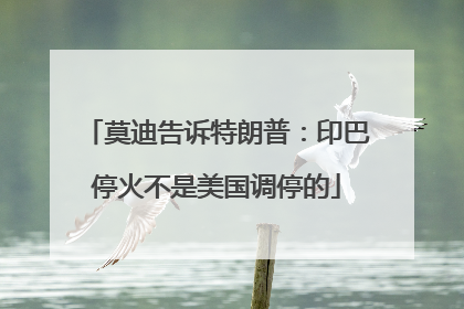 莫迪告诉特朗普：印巴停火不是美国调停的