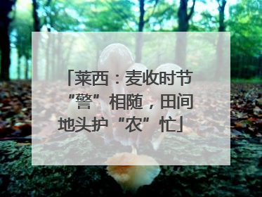 莱西：麦收时节“警”相随，田间地头护“农”忙