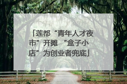 莲都“青年人才夜市”开摊 “盒子小店”为创业者兜底