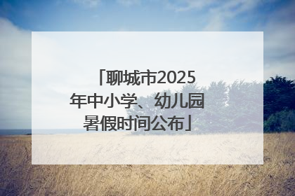 聊城市2025年中小学、幼儿园暑假时间公布