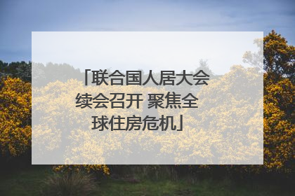 联合国人居大会续会召开 聚焦全球住房危机